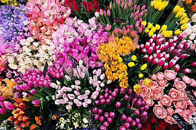 《古墓丽影4-6复刻版》Steam特别好评 竟推荐RTX 2080